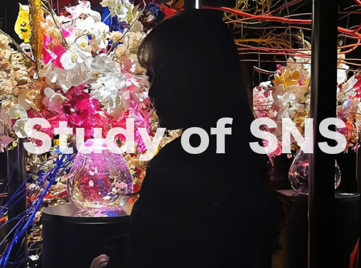Study of SNS